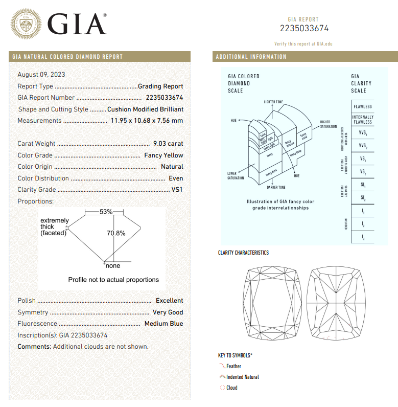 9.03 CT FANCY YELLOW